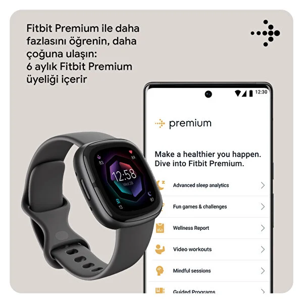 fitbit premium